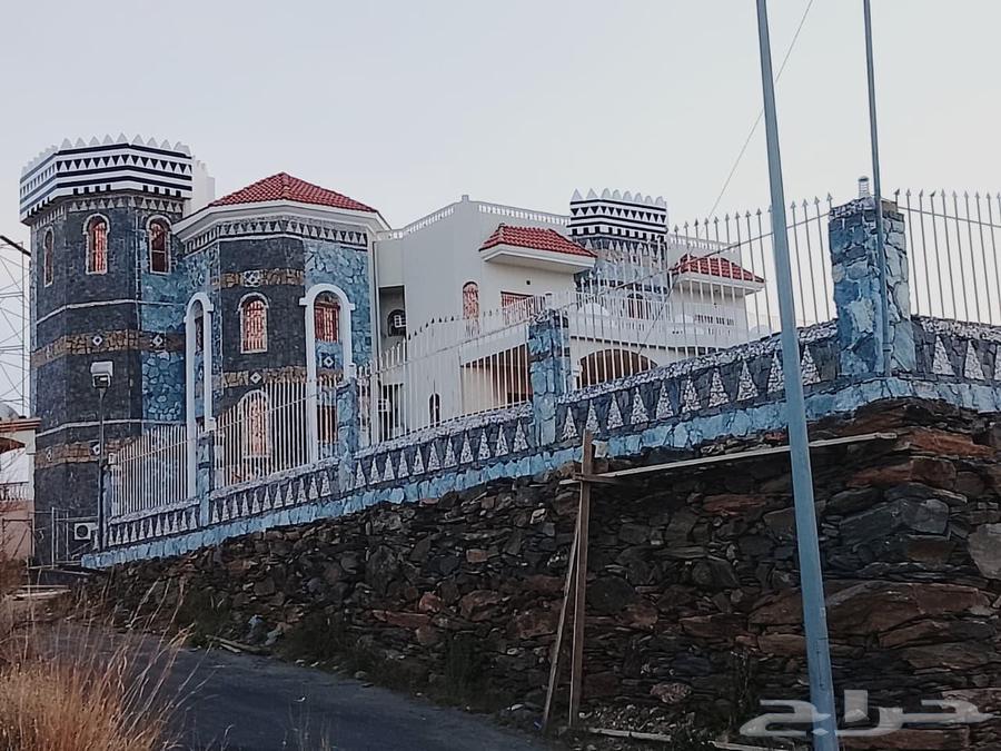 Stone masonry and floor tiling expert64458764950274112