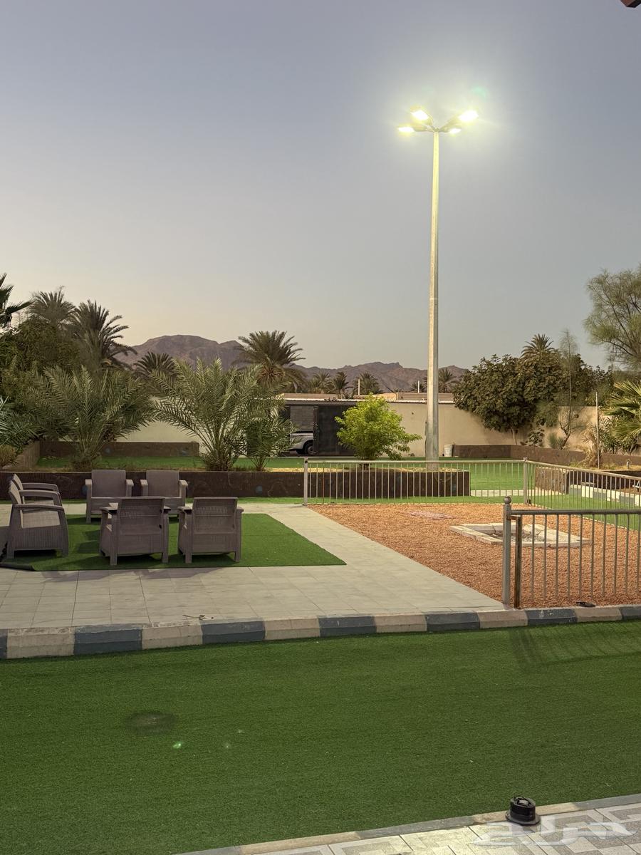 ديوانيه للايجار الشهري64458022681603112