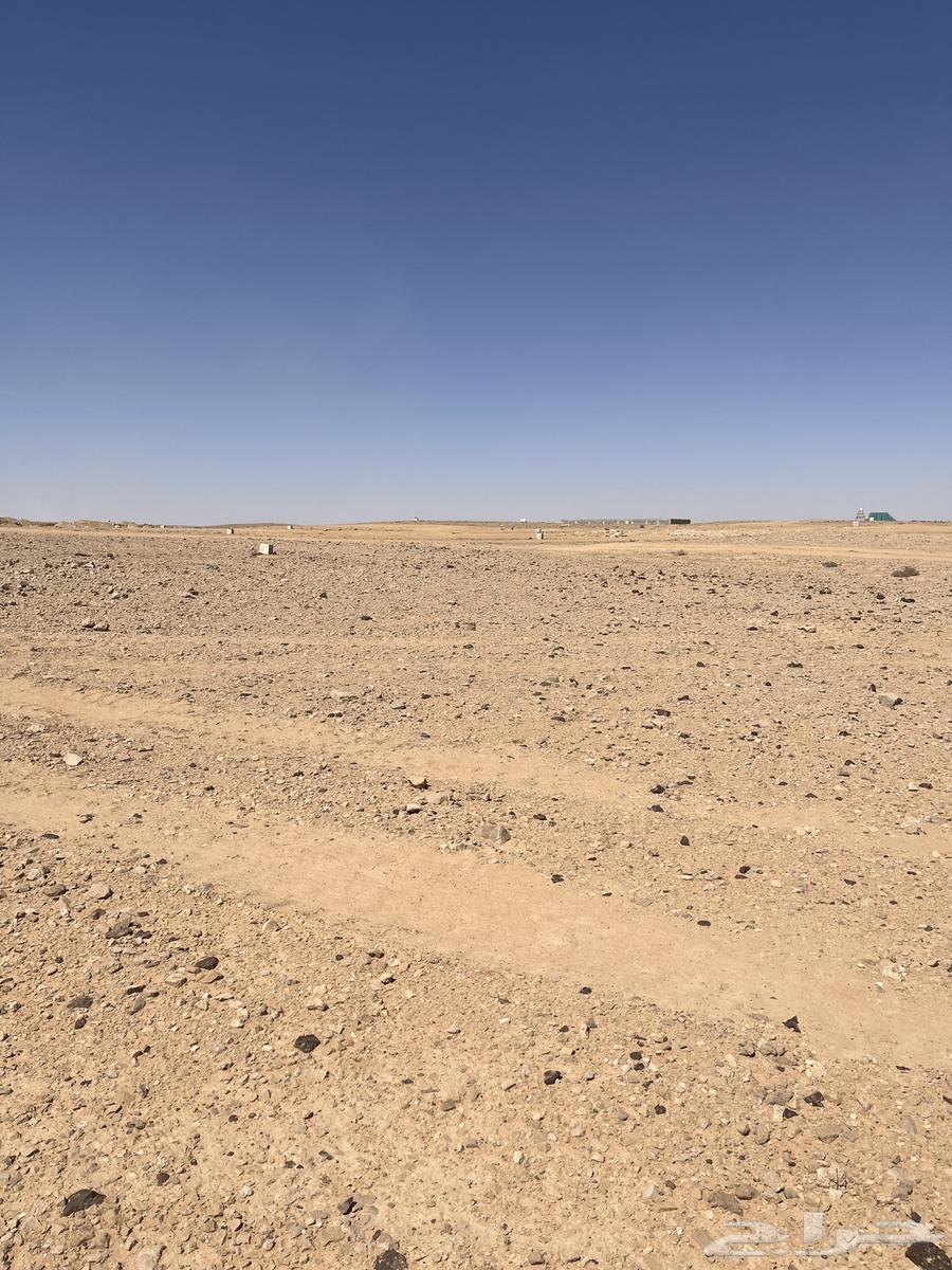 ارض للبيع