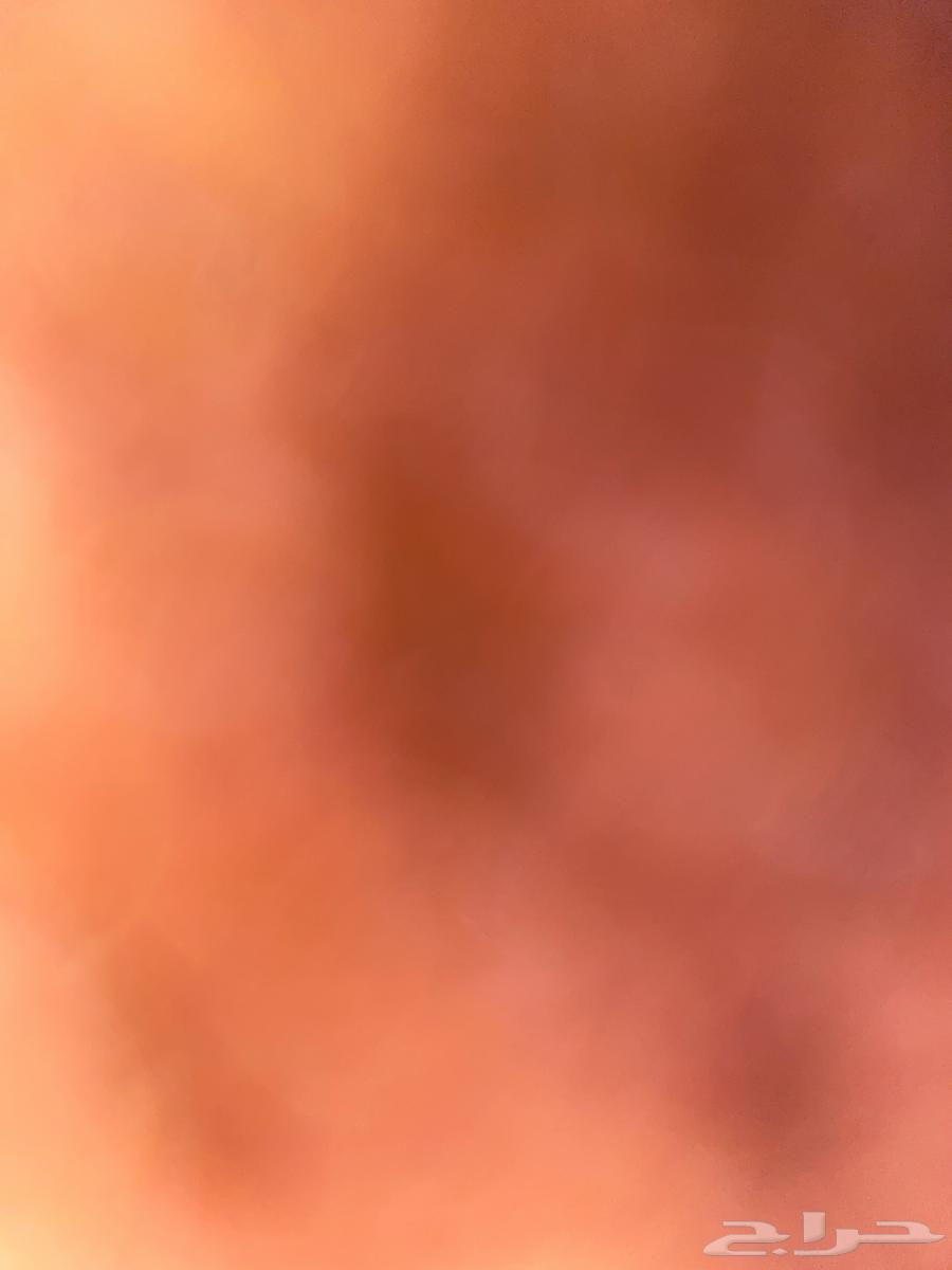 كداد طالع من المدينة الى القصيم64458990335875110