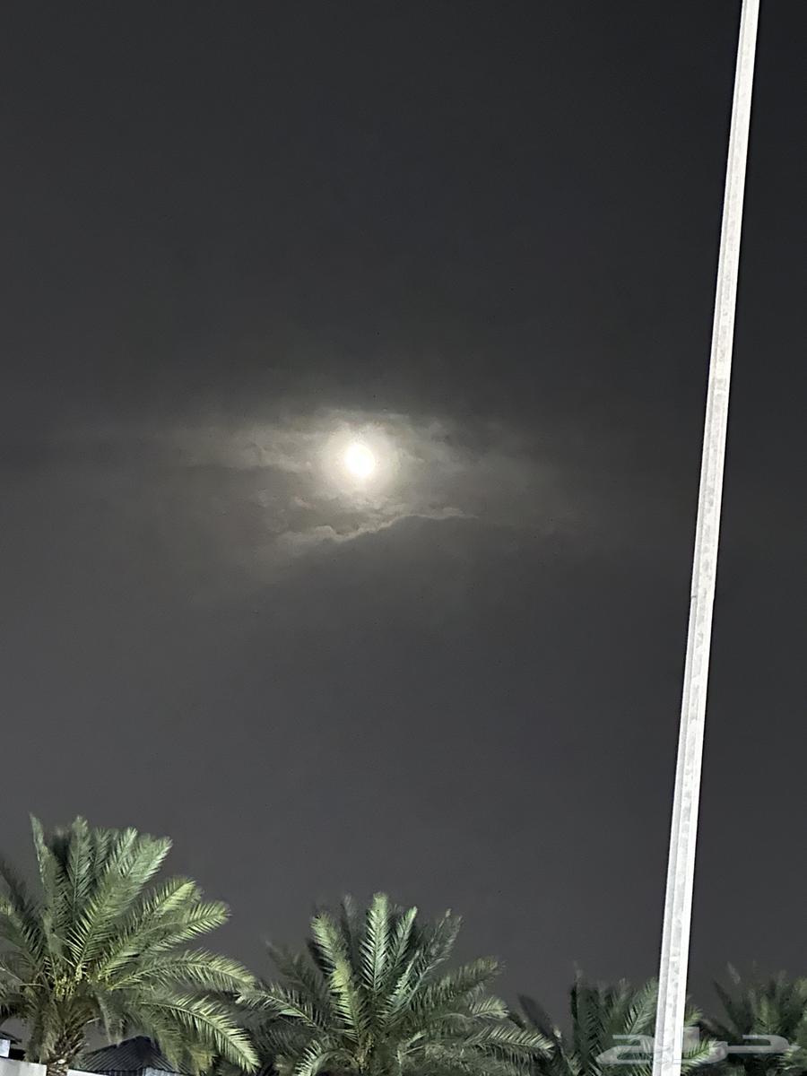 توصيل ومشاوير خارج تبوك وداخل تبوك64459153719042110