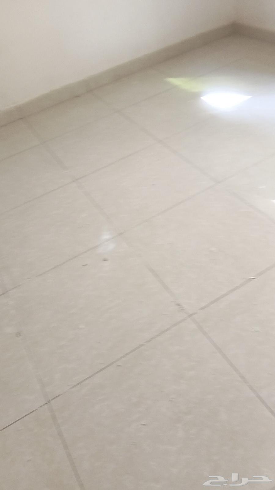 Ceramic, marble, and porcelain tiler with high-quality painting services64458749403522110