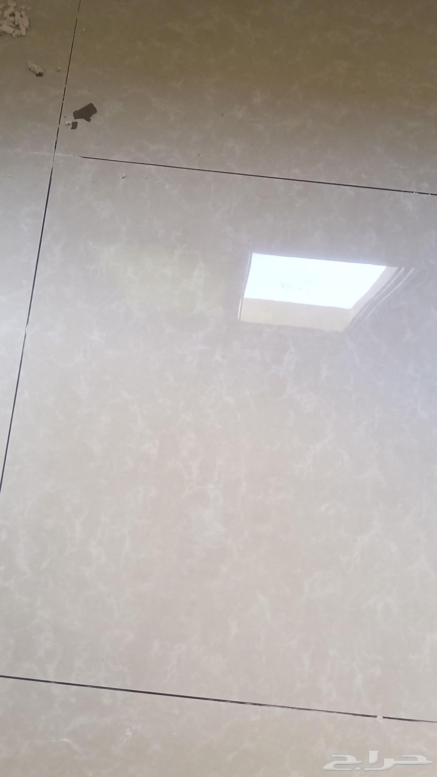 Ceramic, marble, and porcelain tiler with high-quality painting services64458749403522111