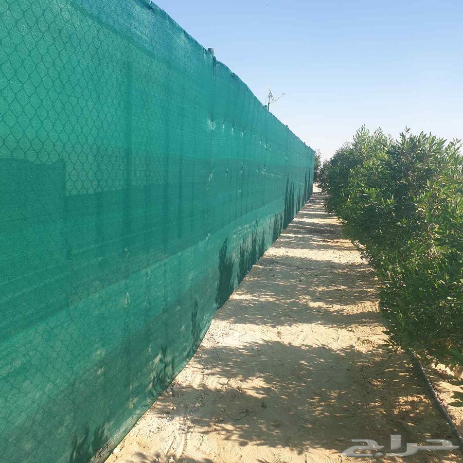 We are a general contracting company for the supply and installation of all types of barbed wire64459064772226112