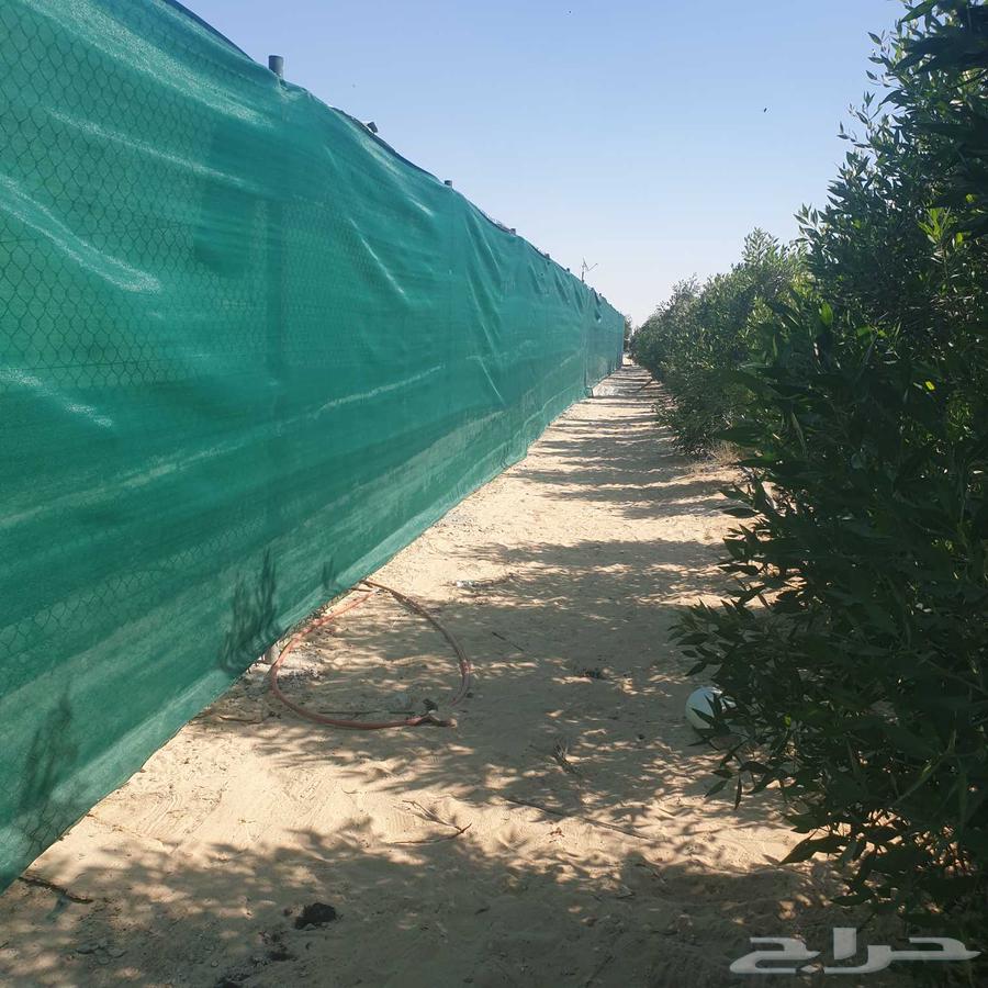 We are a general contracting company for the supply and installation of all types of barbed wire64459064772226111