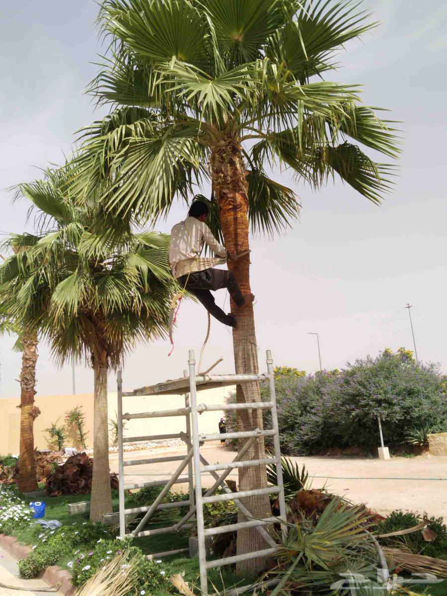 تكريب وتنضيف64473625546753114