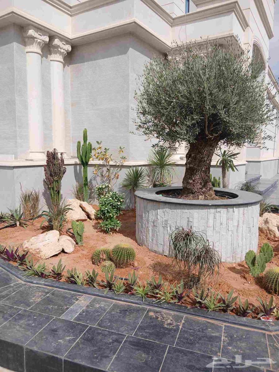 Nursery for landscaping, garden arrangement, and installation of all irrigation networks64459379113986114