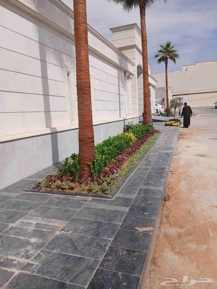 Nursery for landscaping, garden arrangement, and installation of all irrigation networks64459379113986112