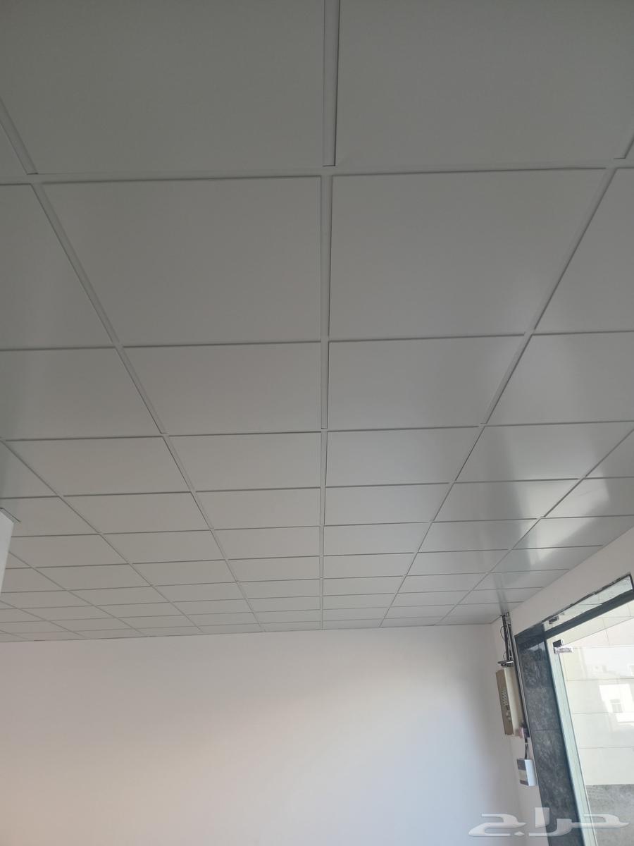 Hello, I am a Pakistani teacher working in decorations64459378864002113