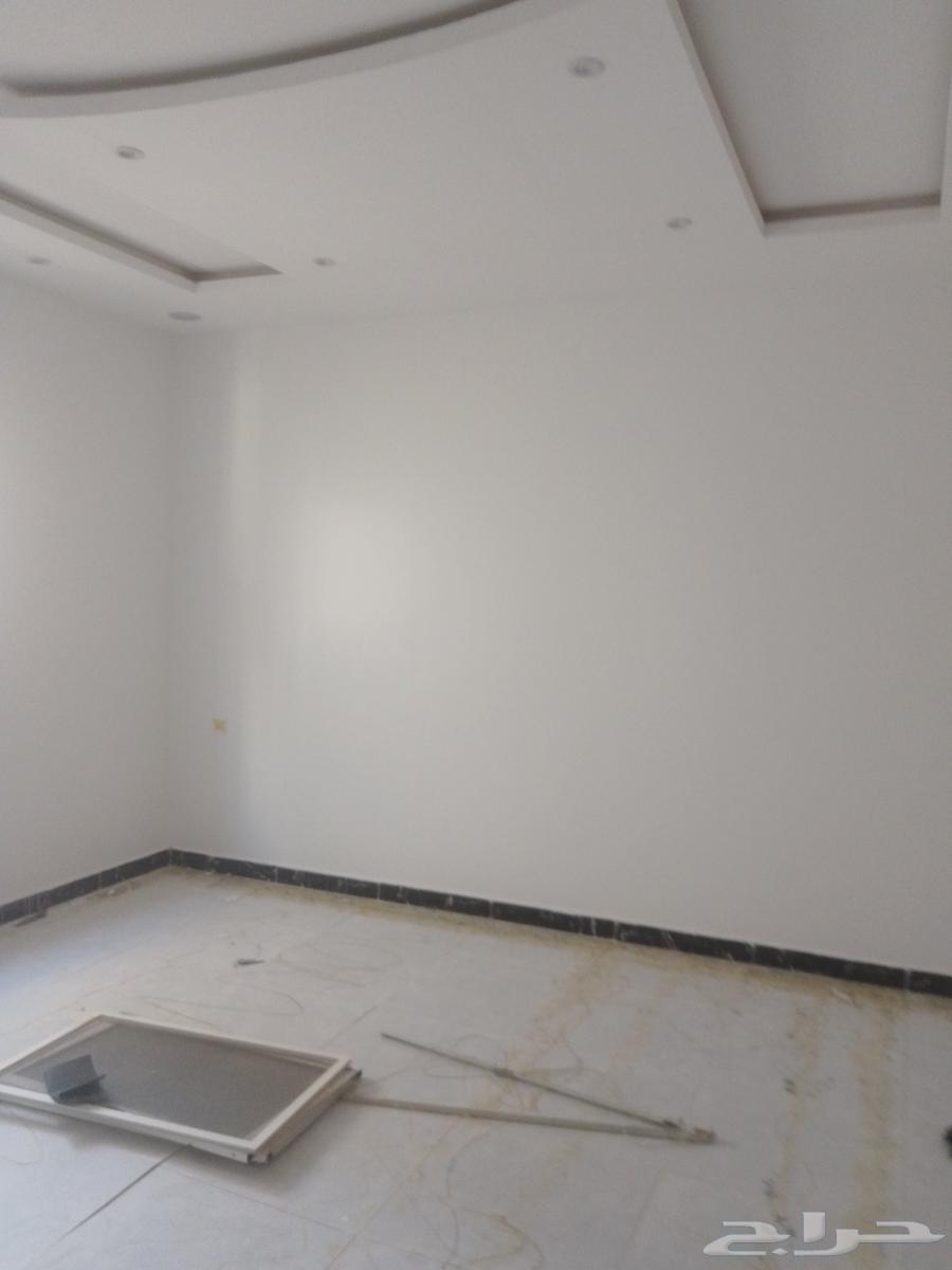 Painting Teacher with Experience64459319603586111