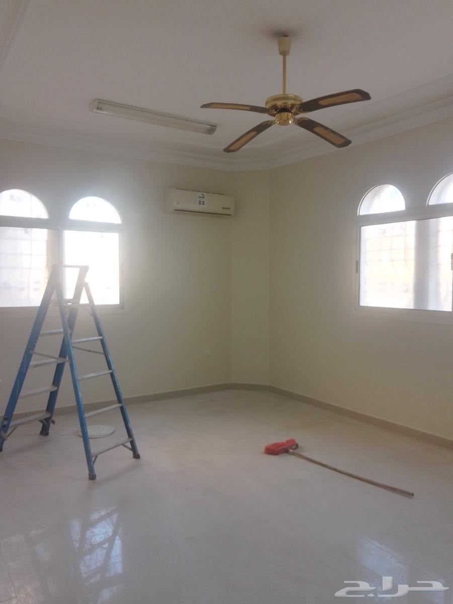 Painting Teacher with Experience64459319603586110