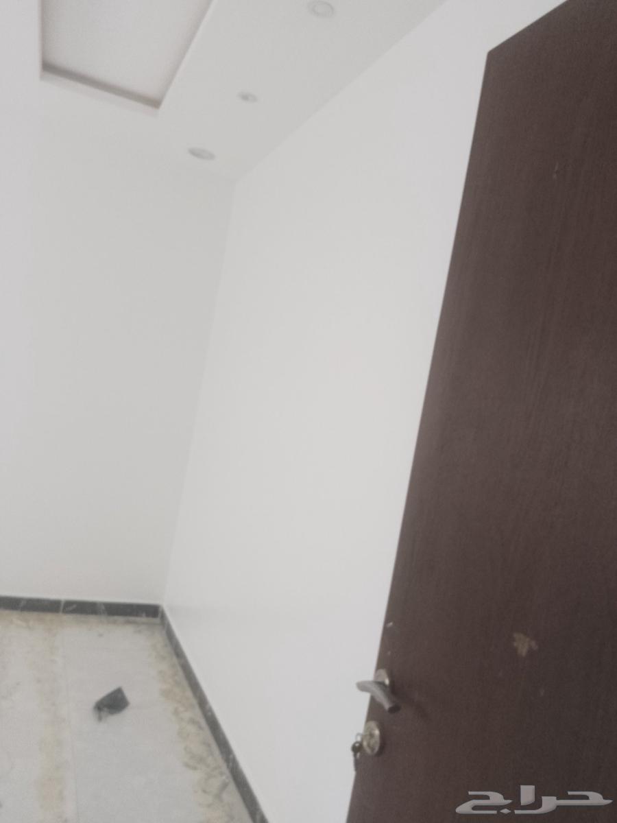 Painting Teacher with Experience64459319603586112