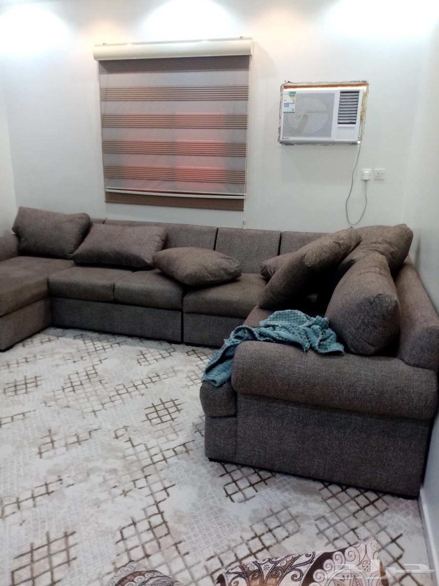 نجار فك وتركيب ونقل عفش64459064366977112