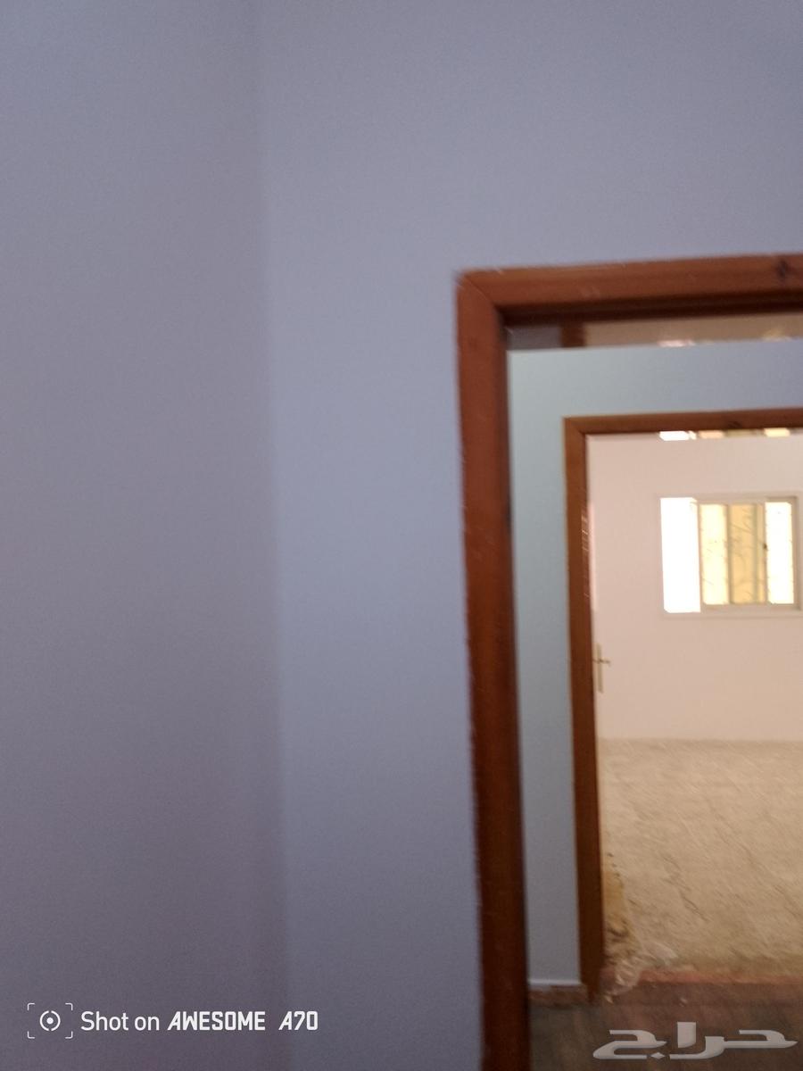 دهان مباني خميس مشيط وابهاء64459020069121112