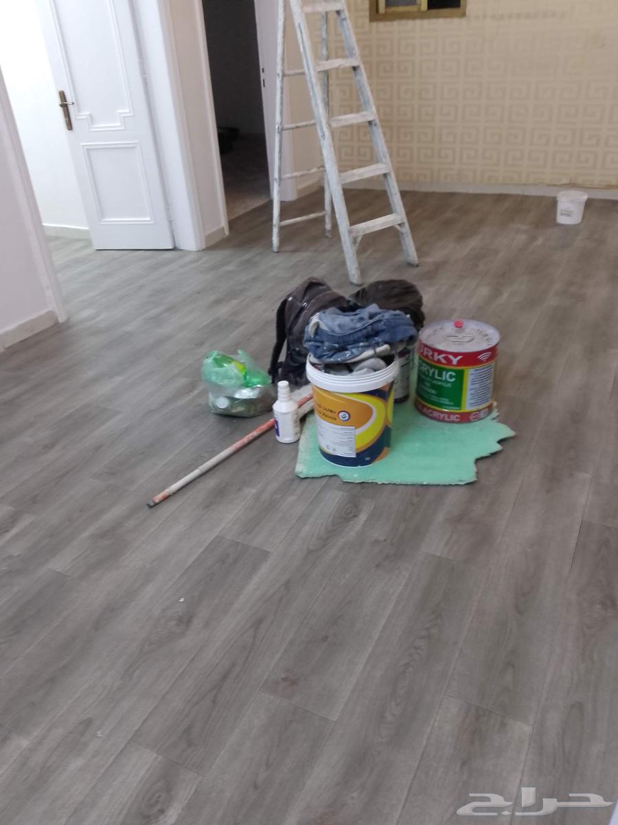 Taif Paint Master for All Types of Paints and Decorations64458703856514112