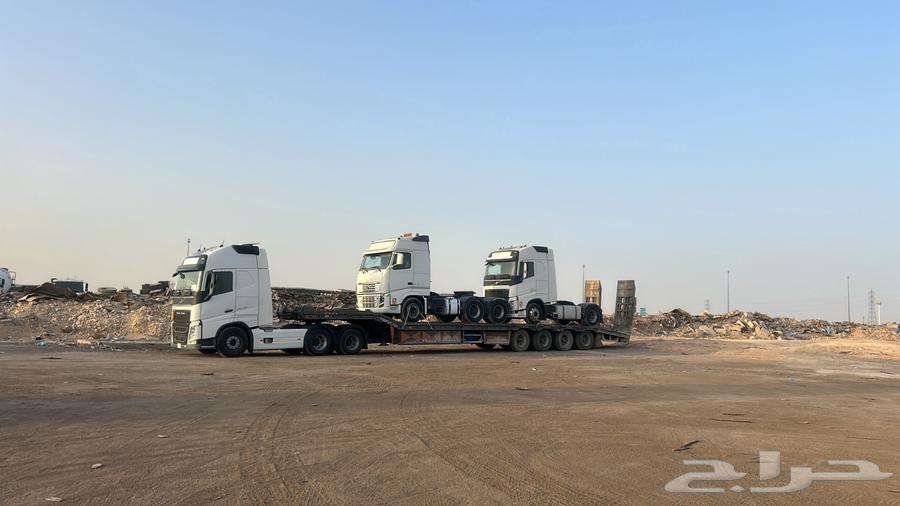 لوبد متواجد في الرياض64524586980993110