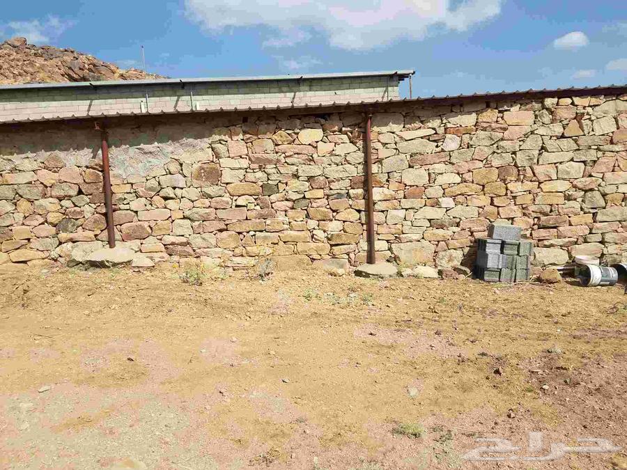 Mason and cladding technician64459424079747113