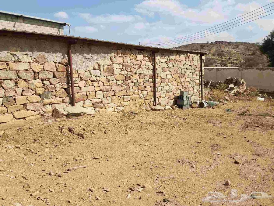 Mason and cladding technician64459424079747112