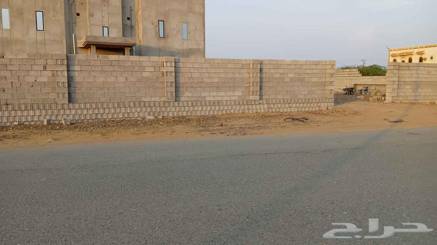 معلم_ بناء _ لياسة _ ترميم _هدم   سعيده وما حولها64458856143618113