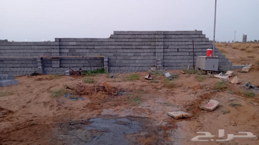 معلم_ بناء _ لياسة _ ترميم _هدم   سعيده وما حولها64458856143618110