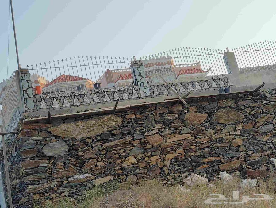 Stone masonry and floor tiling expert64458764950274113