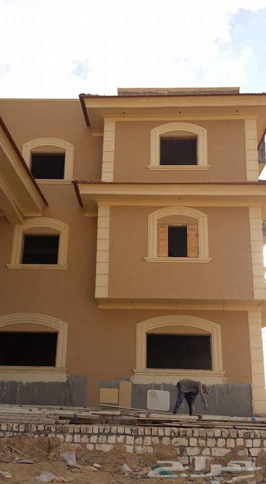 Tiles Profile Marble Break Paints64458703895553114