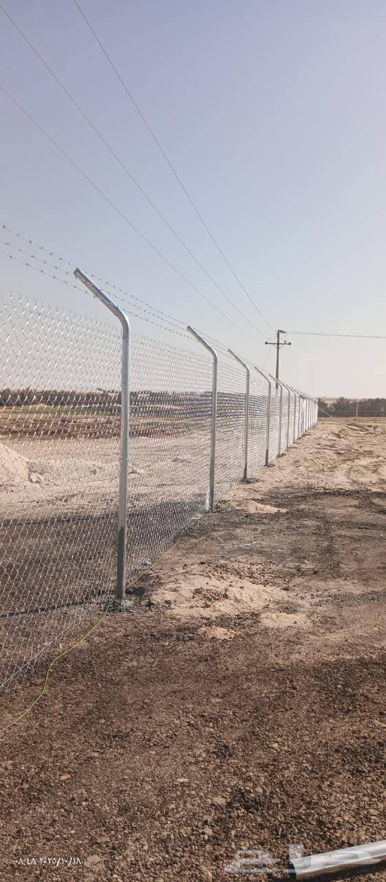 Palm trees and screens64459379050499113