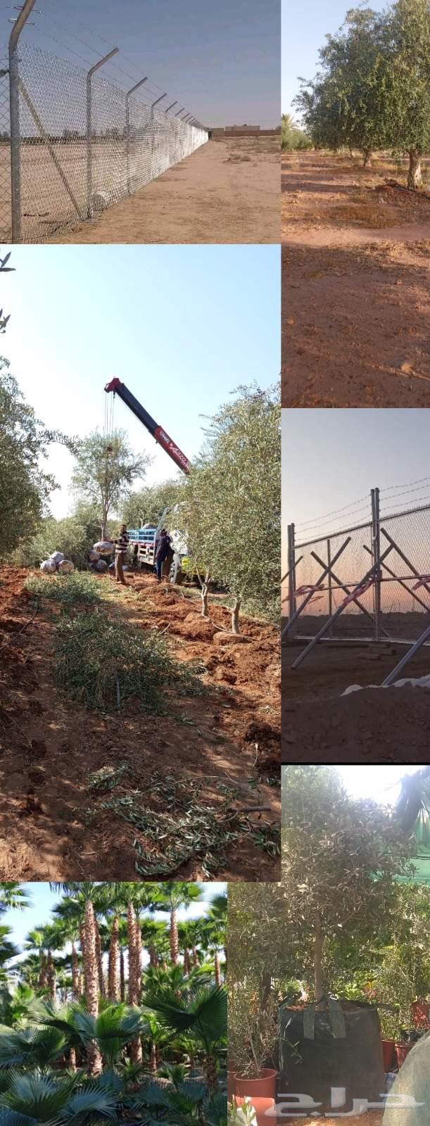 مقاول شبوك توريد وتركيب في أنحاء المملكه64458871025282112