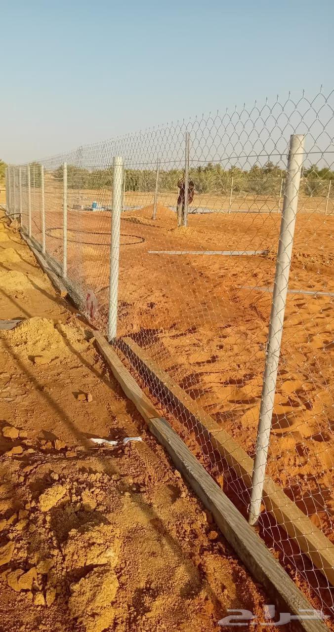 Palm trees and screens64459379050499110