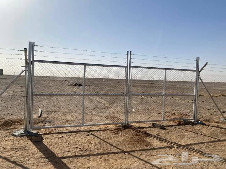 Palm trees and screens64459379050499114