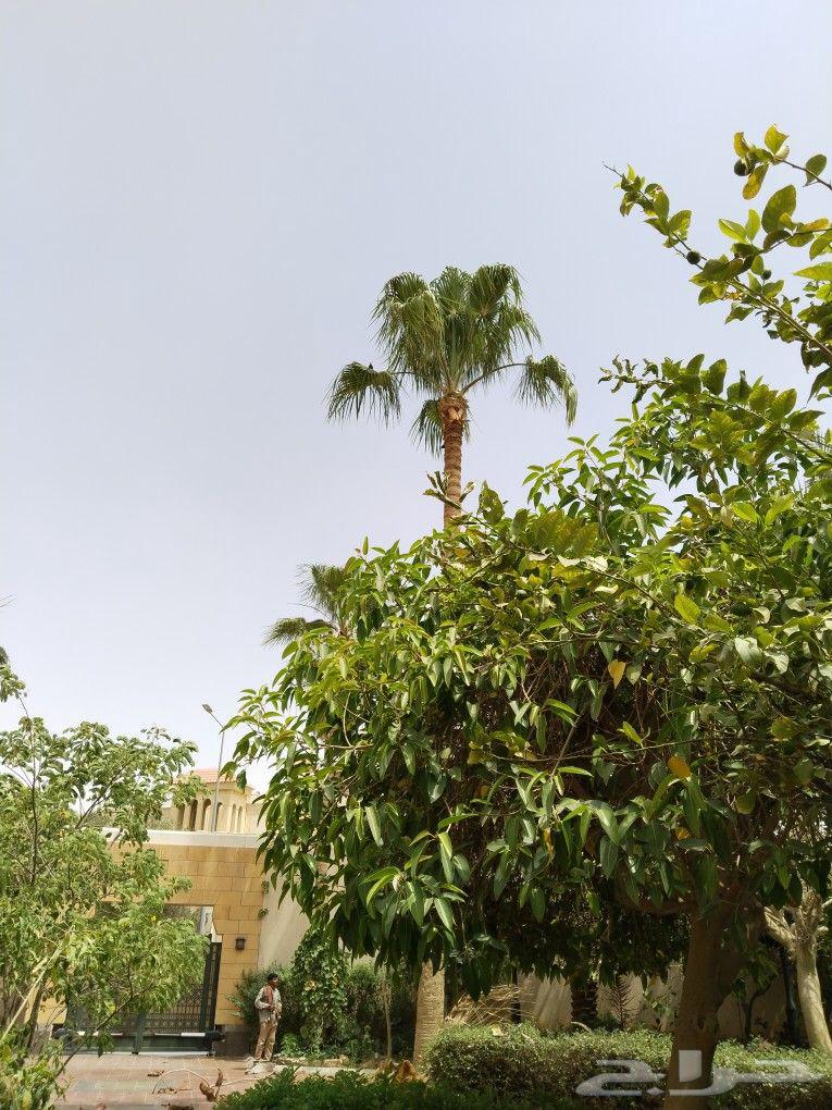 تكريب وتنضيف64473625546753113