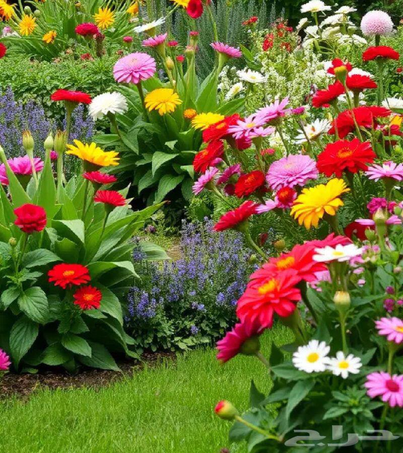 صيانة حدائق بمعايير عالية ونتائج تبهرك حول حديقتك لواجهة64459274494594114