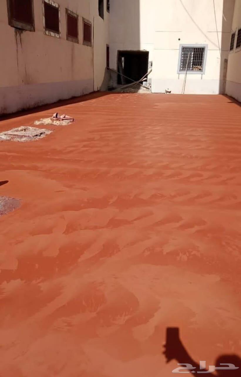 شتغل أرضيات خراسانة ديكور الختام مطبوعة ملونة شكل الون مختل64458704064641113