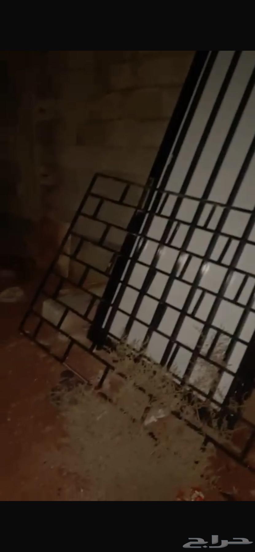 باب حديد مع الدريشة حديد  ألمنيوم للبيع64459139014017112