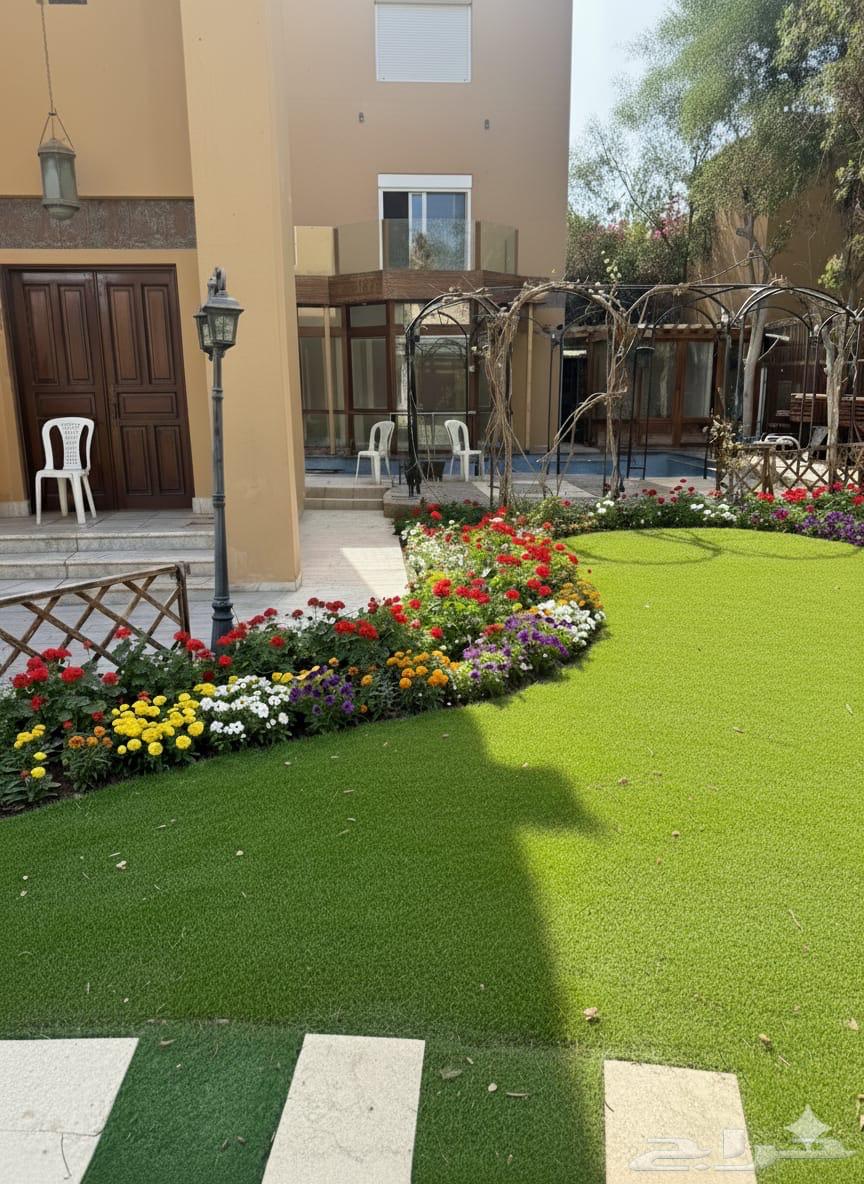 تنسيق حدائق منزلية مميزة وعصرية64458870692227113