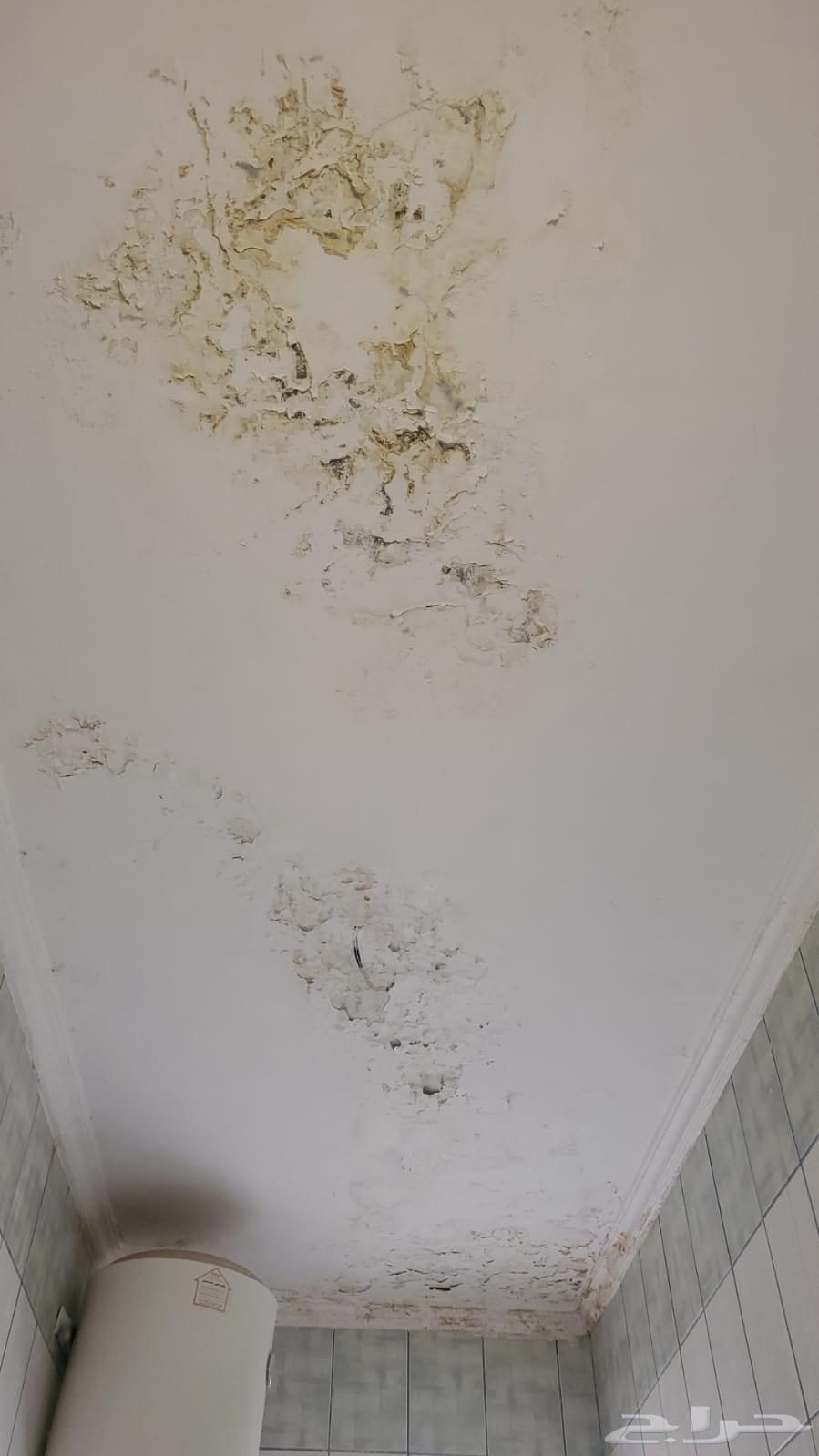 معلم دهانات داخلي وخارجي وديكورات بجميع انواعها64459259822723113