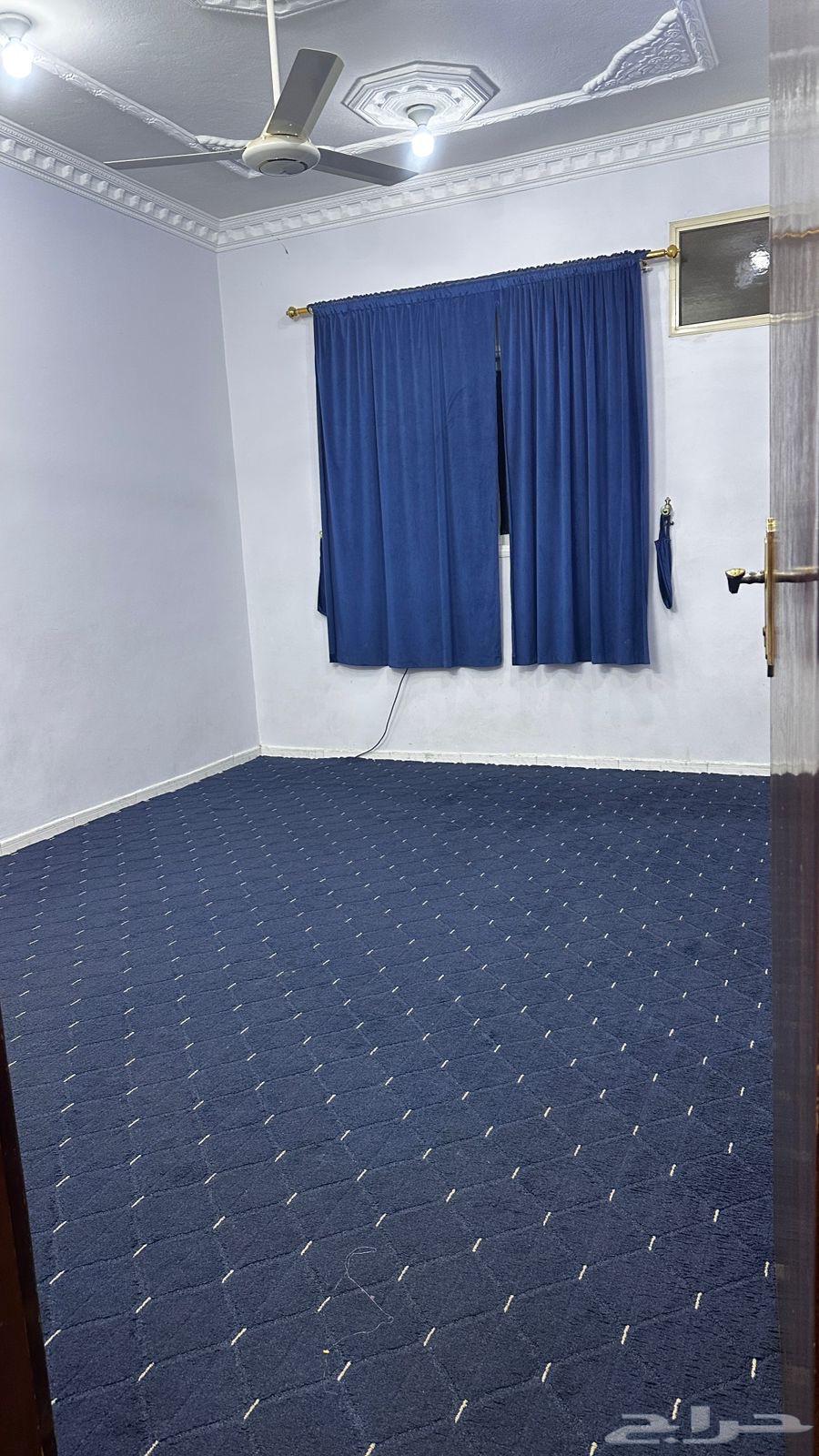 شقة للإيجار