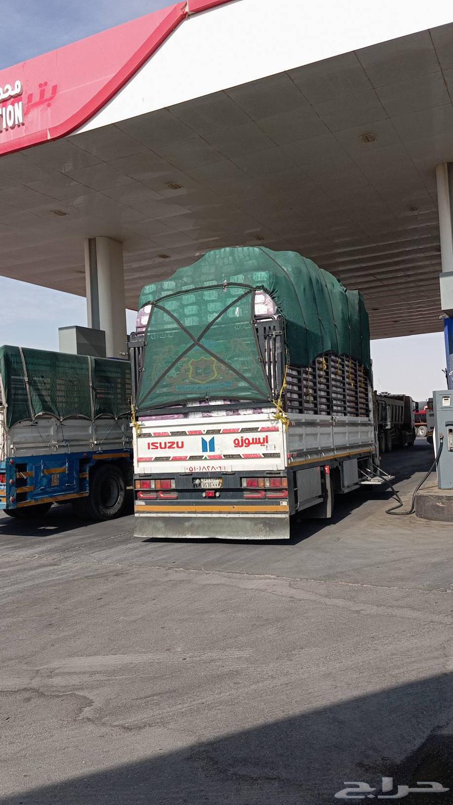 Dina Dina is available in Hofuf Al-Batin, shipping to all areas of the kingdom64458990526723110