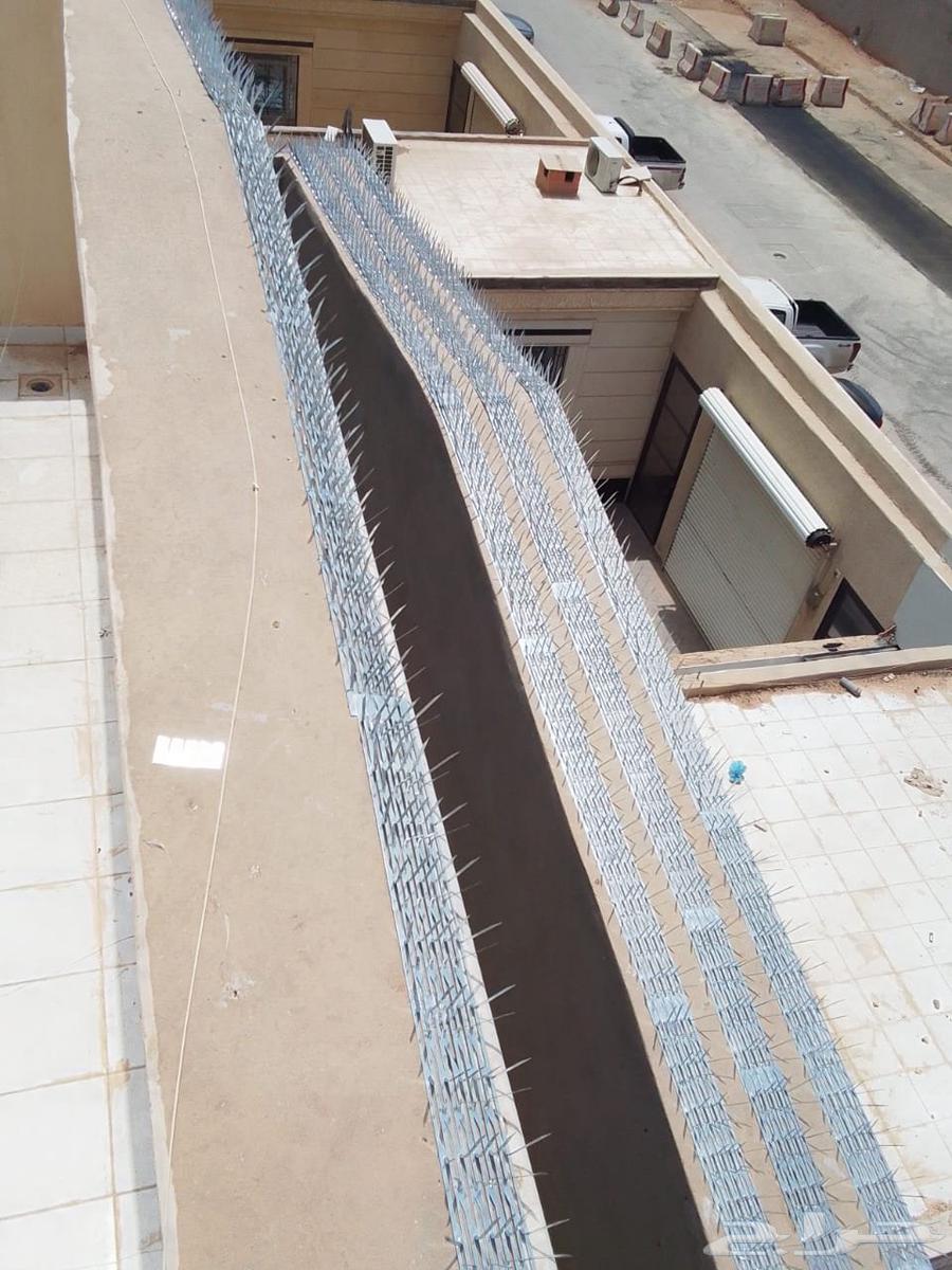 طارد حمام تركيب طارد الطيور مانع الحمام اشواك64458944968963111