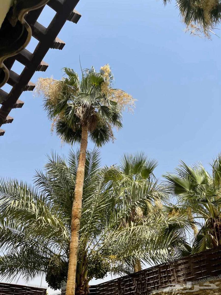 تكريب وتنضيف64473625546753112