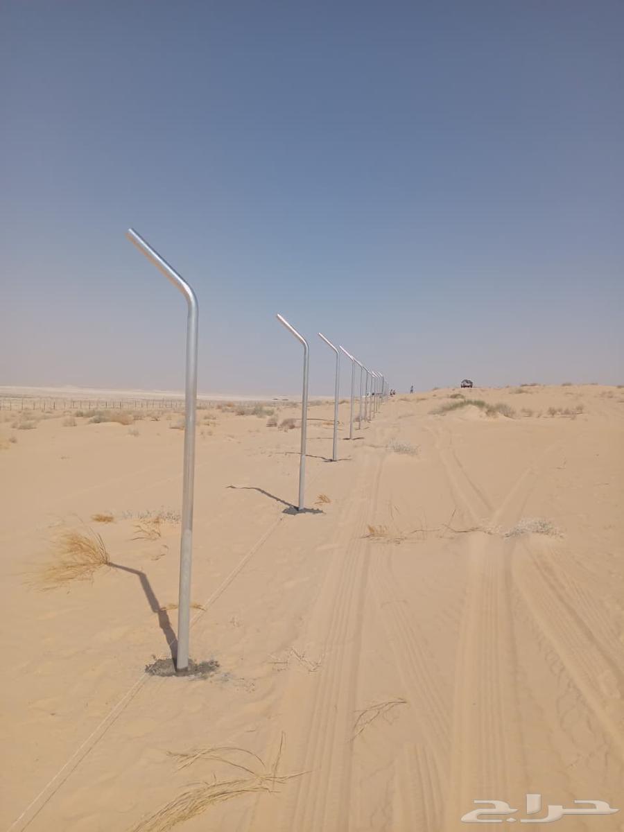 Palm trees and screens64459379050499111