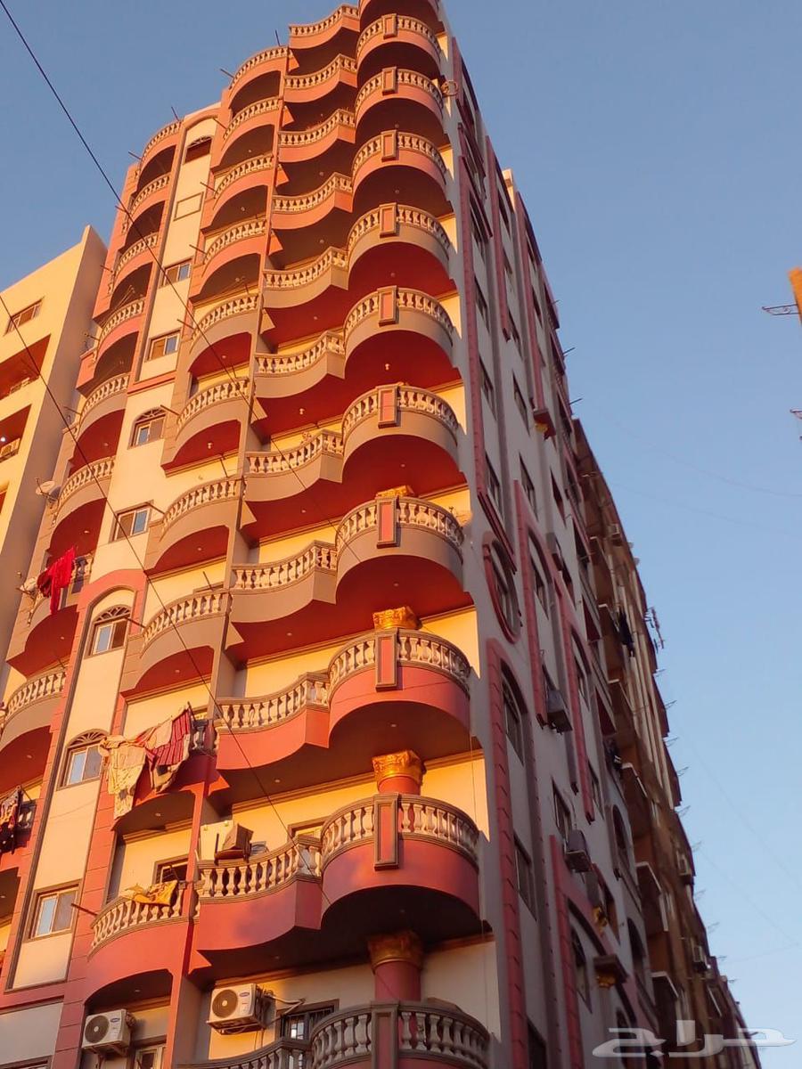 All types of buildings, plastering, tile breaking, installation, renovation and home maintenance64459379153155112