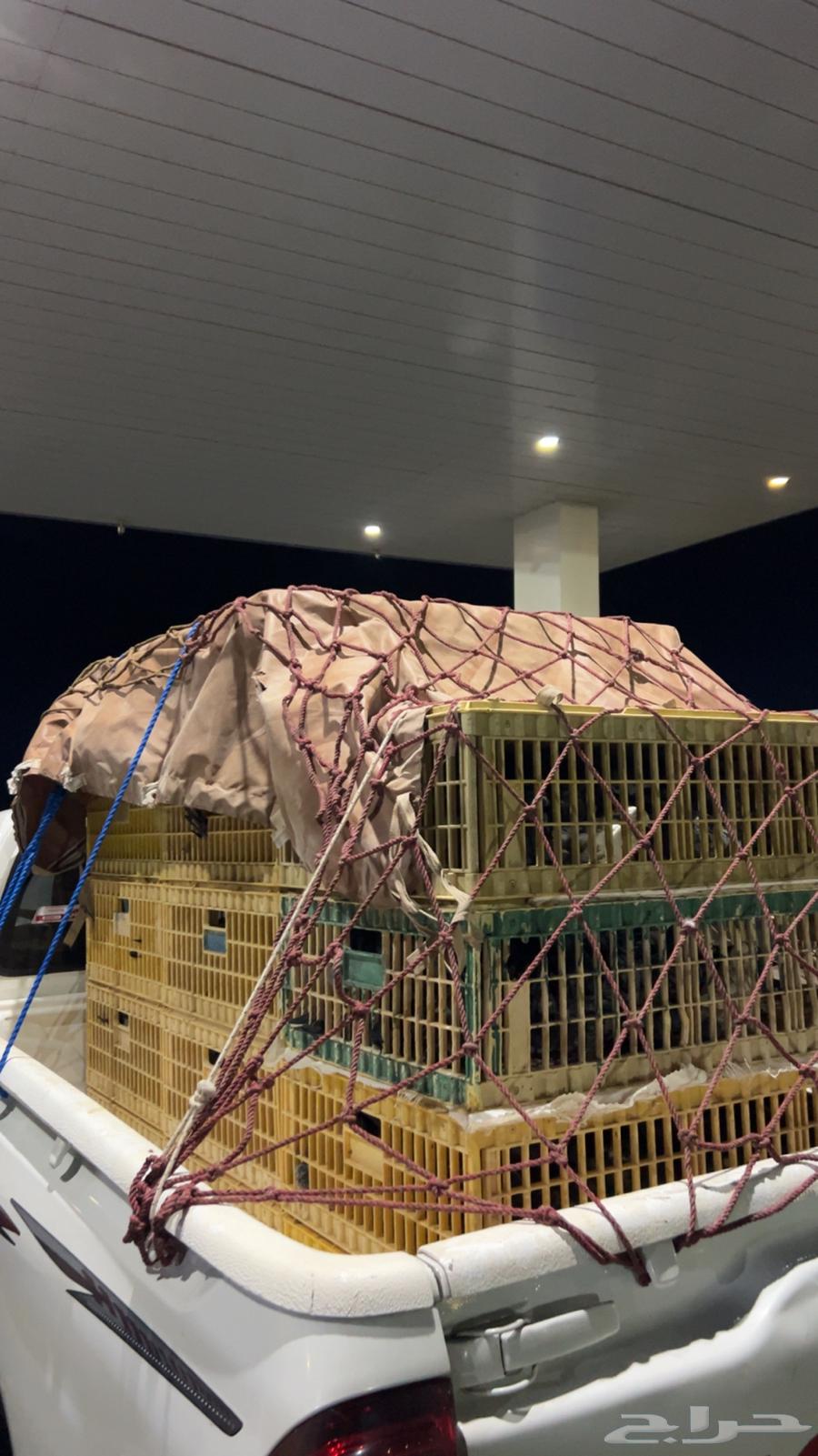 Transportation of various types of trips64459697658242110