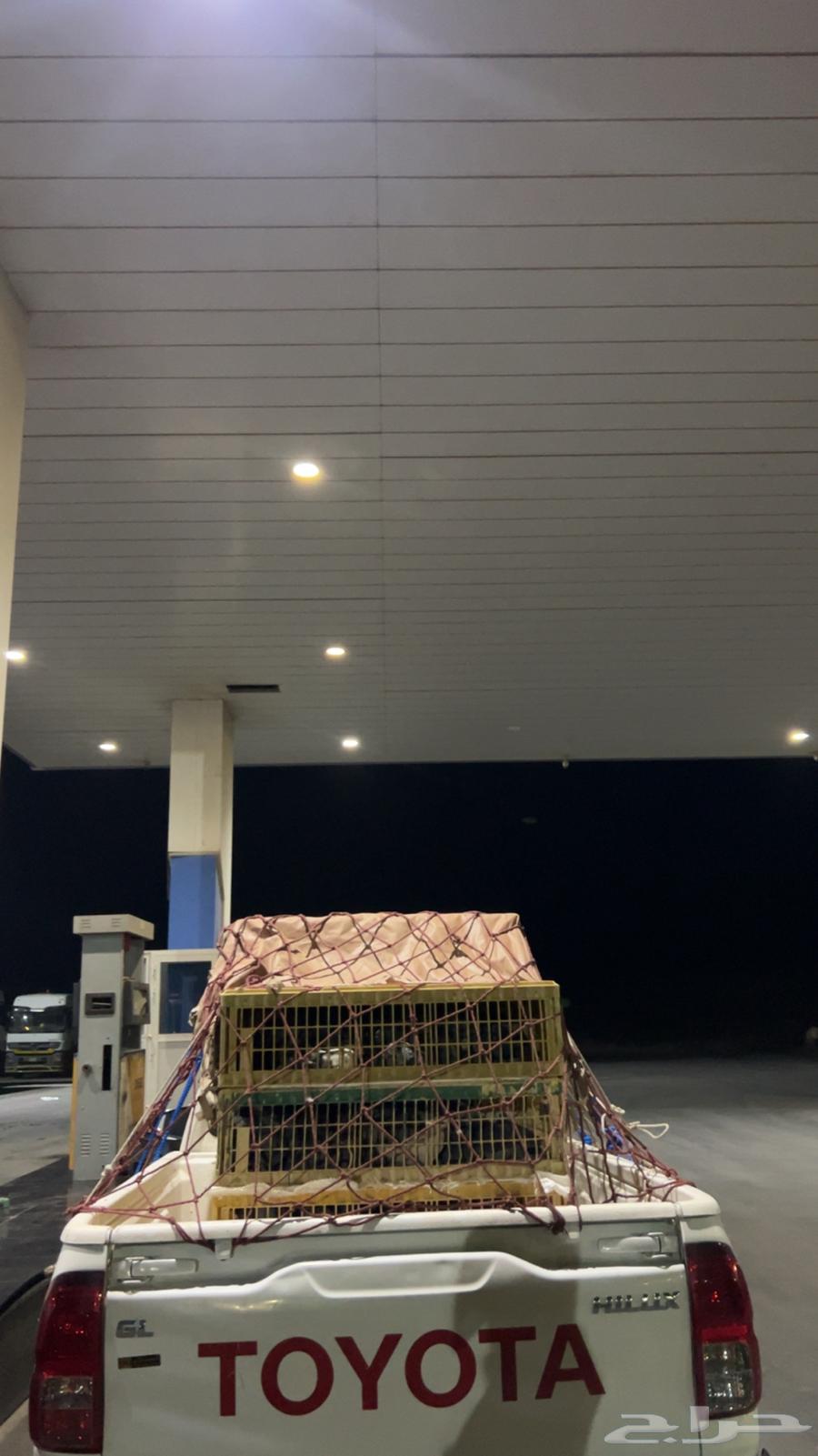 Transportation of various types of trips64459697658242111