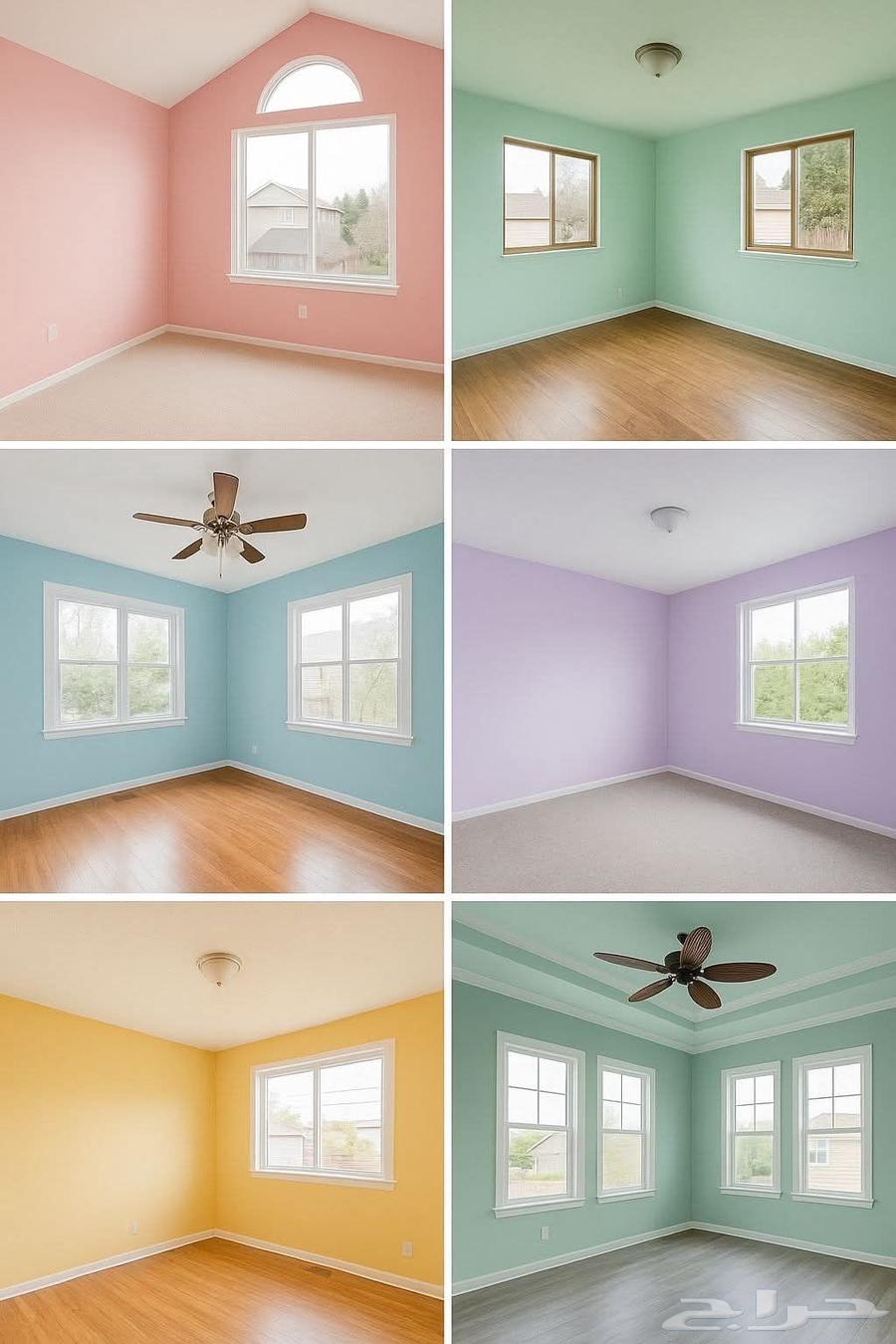 معلم نادر اليمني للدهات البويات المدينه المنوره64459866749571110