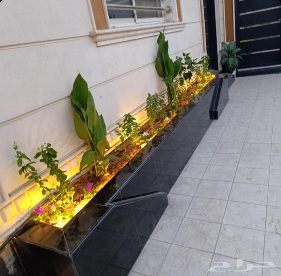 Making planting basins64524642599555114