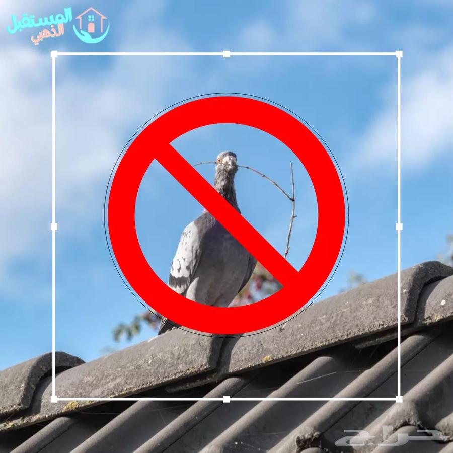 طارد حمام شب تر يب64459851005315111