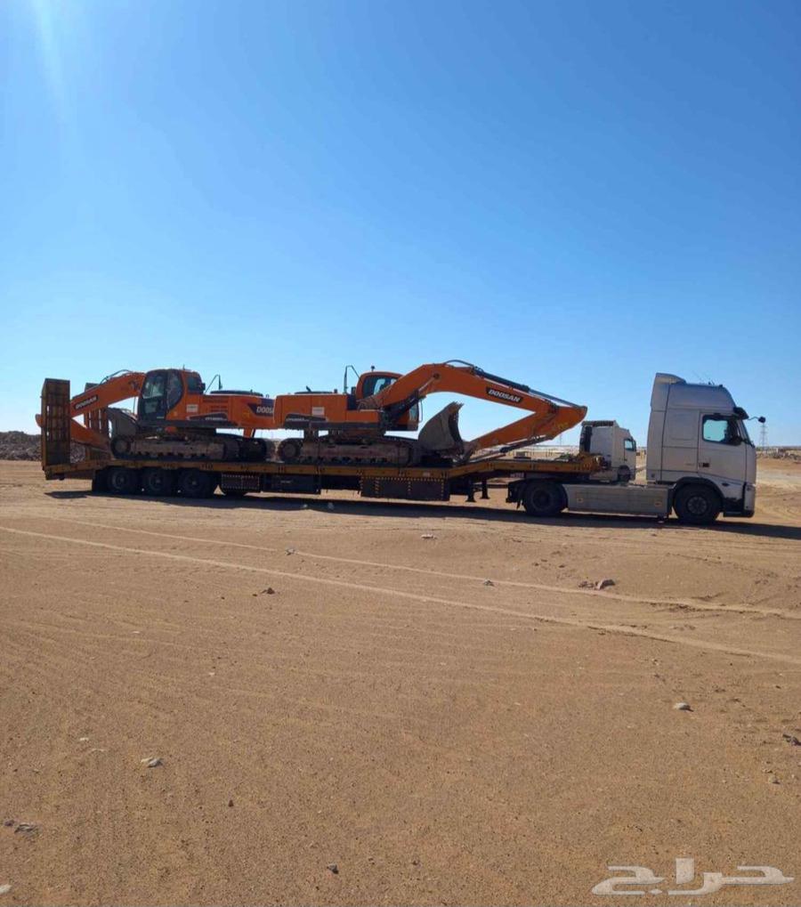 لوبد متواجد في الرياض64459821356930111