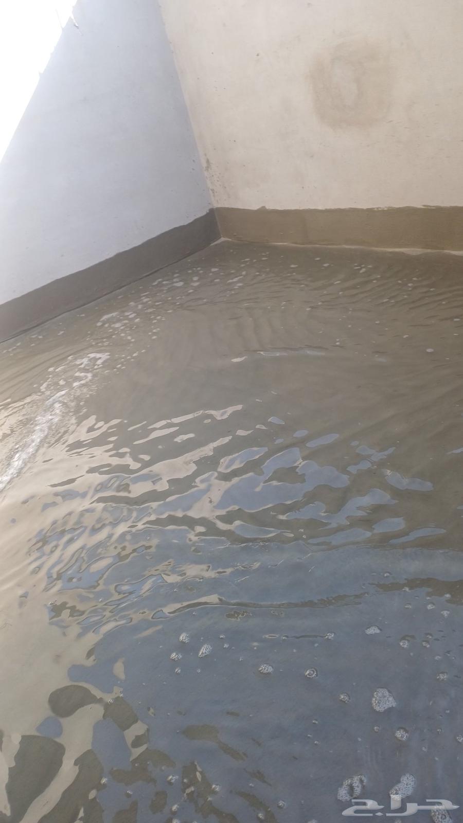 Insulators64459558099587113