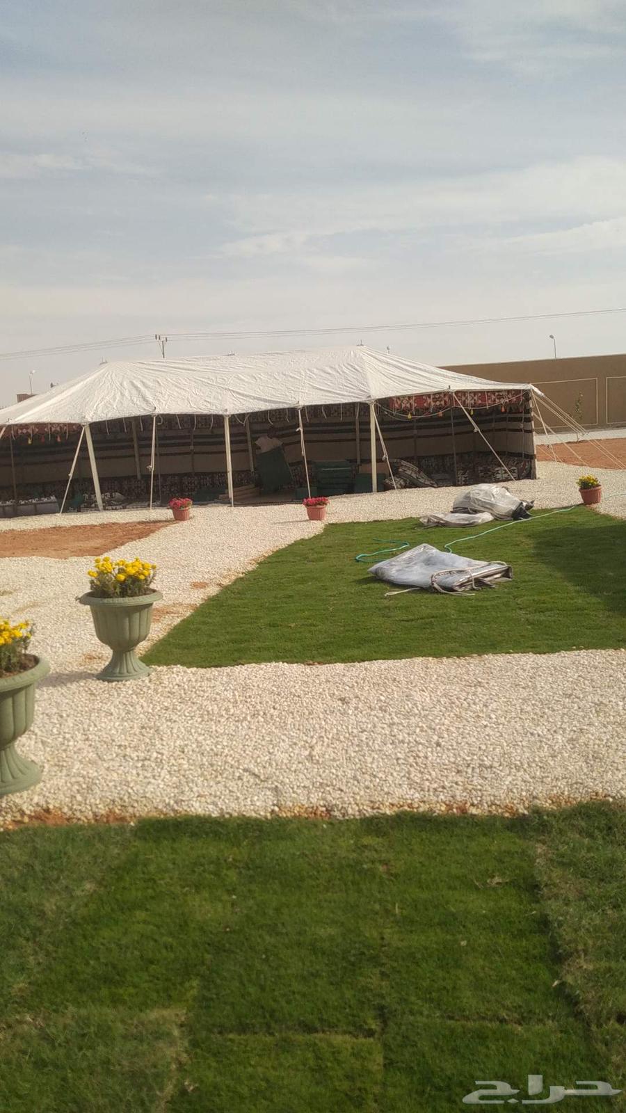 تركيب مخيمات البر وتجهيزها خيام ومخيمات البر64459820870402112